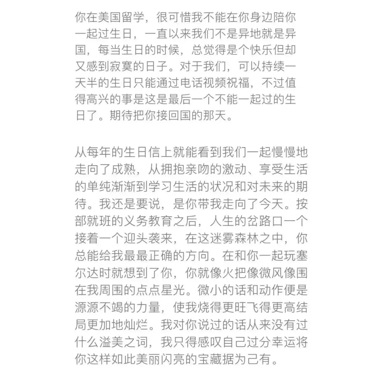 迷雾森林